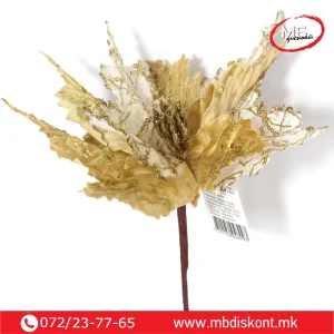 Еуфорбија злато бела