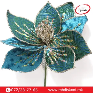 Цвет еуфорбија тиркиз 22см