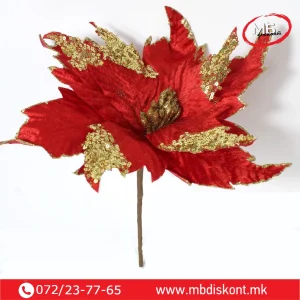 Цвет Еуфорбија Црвена Злато 30см