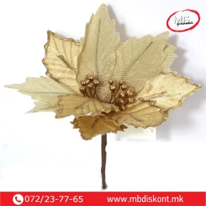 Еуфорбија Злато Ивица 25см