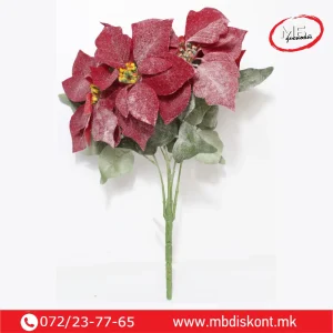 Букет Еуфорбија x5 – Бордо