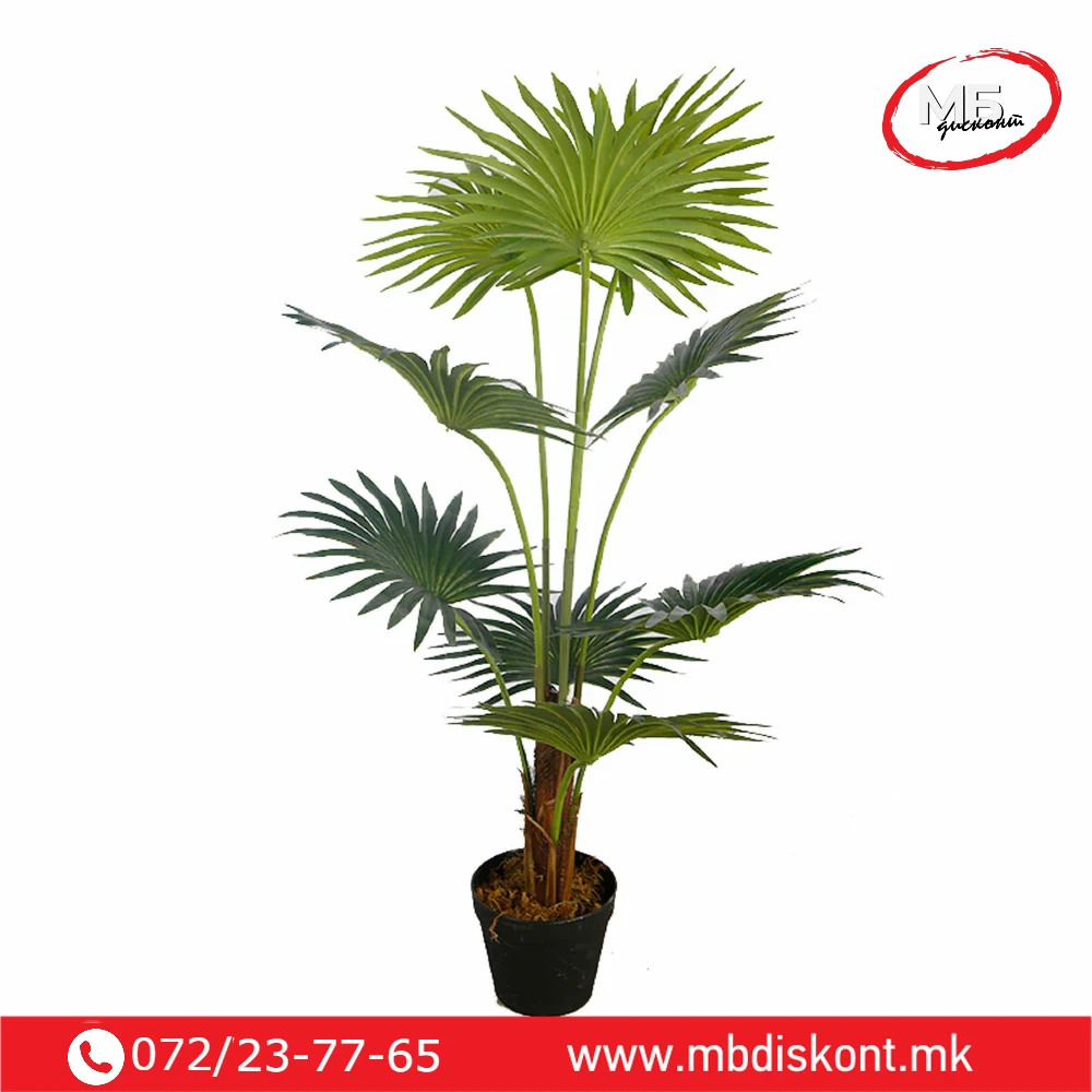 Vestacko Banana drvo 170sm (3)