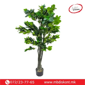 Vestacko fikus drvo 170sm