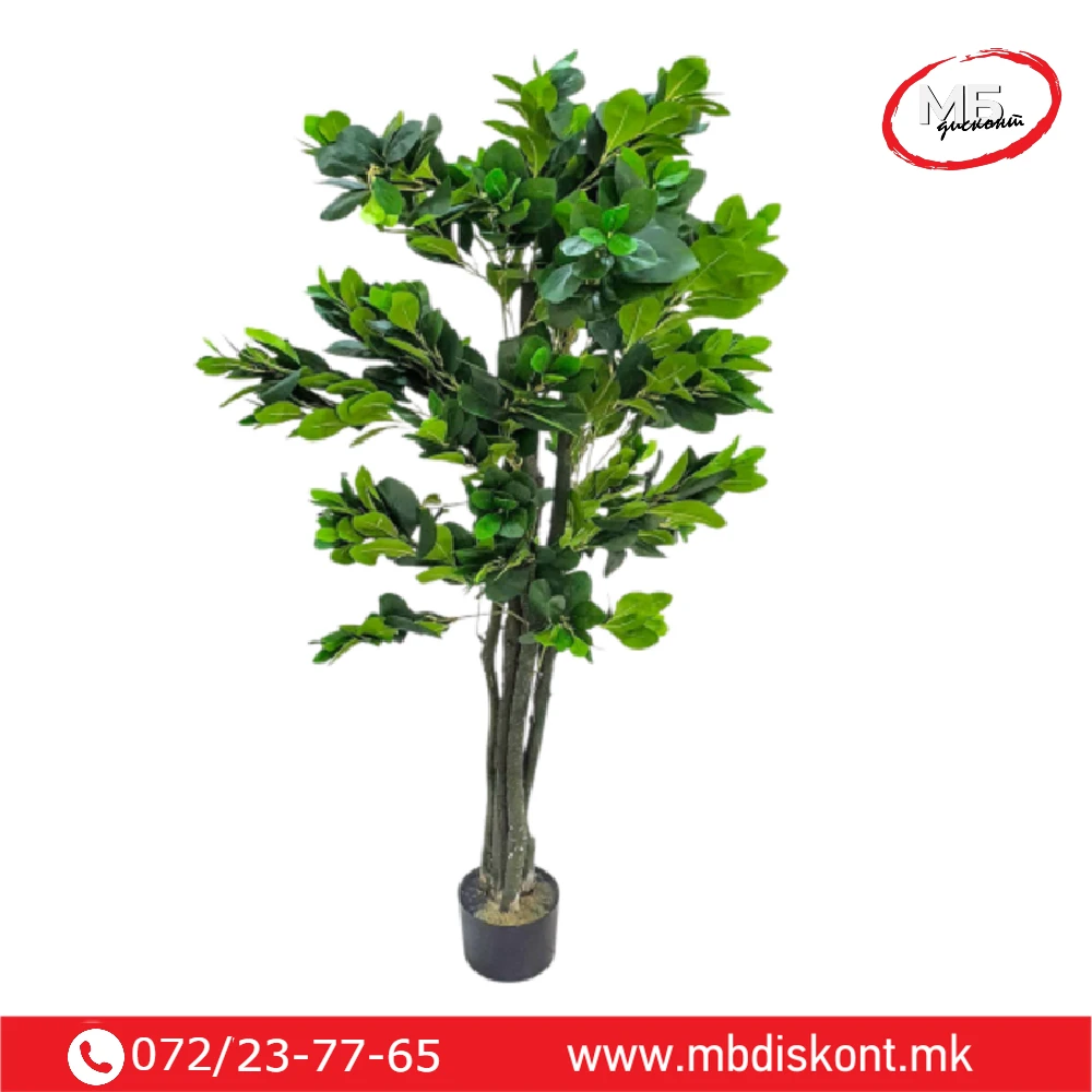 Vestacko fikus drvo 170sm