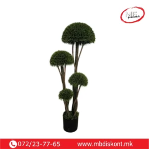 vestacko drvo cempres